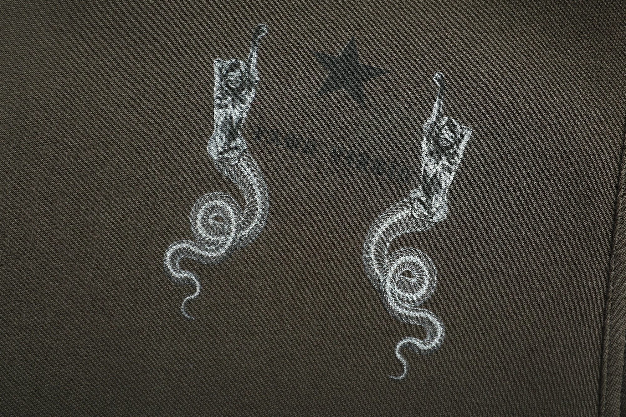 “A VIRGIN WIRH A SNAKE TAIL”HOODIE