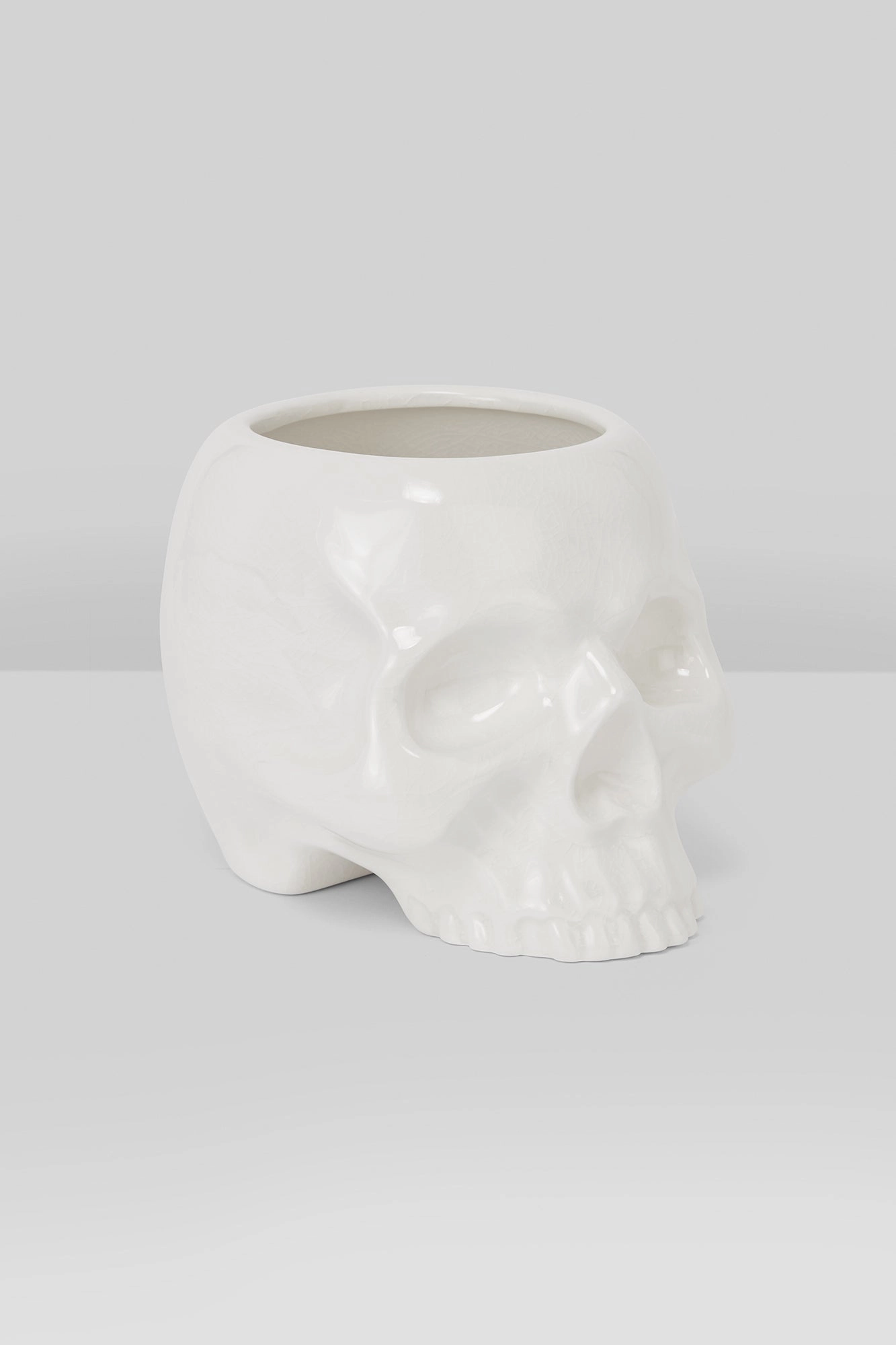 Cranium Planter