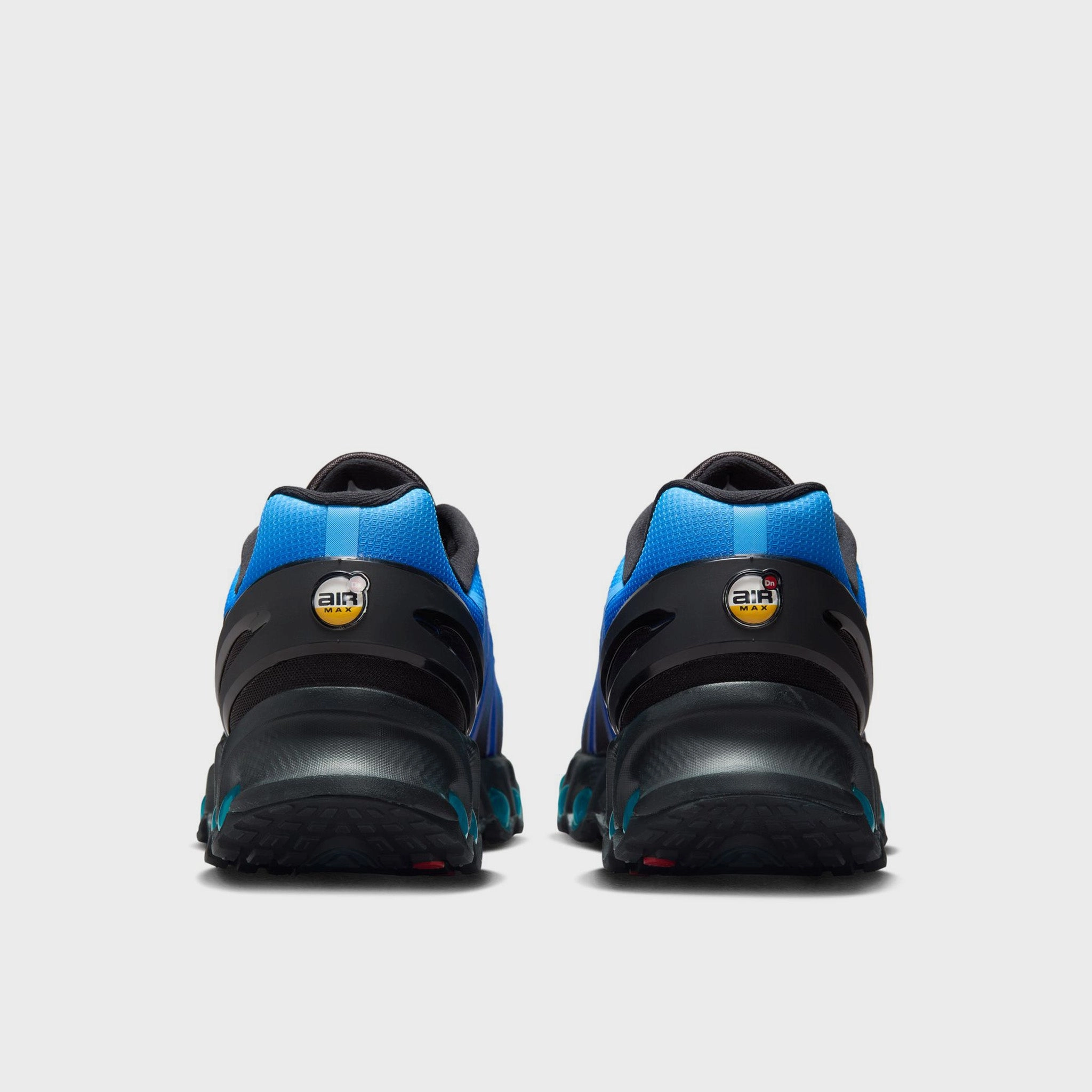 Nike Air Max DN8 Black / Hyper Royal