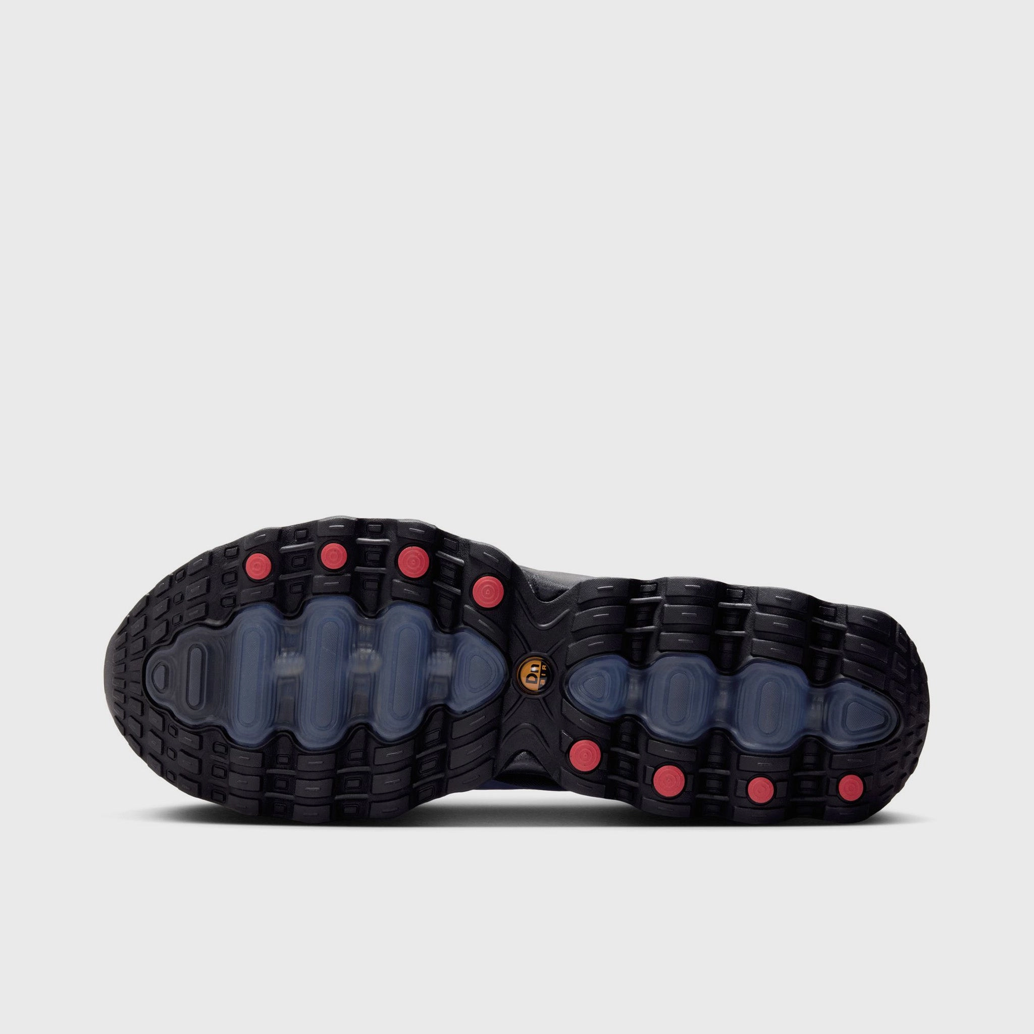 Nike Air Max DN8 Black / Hyper Royal