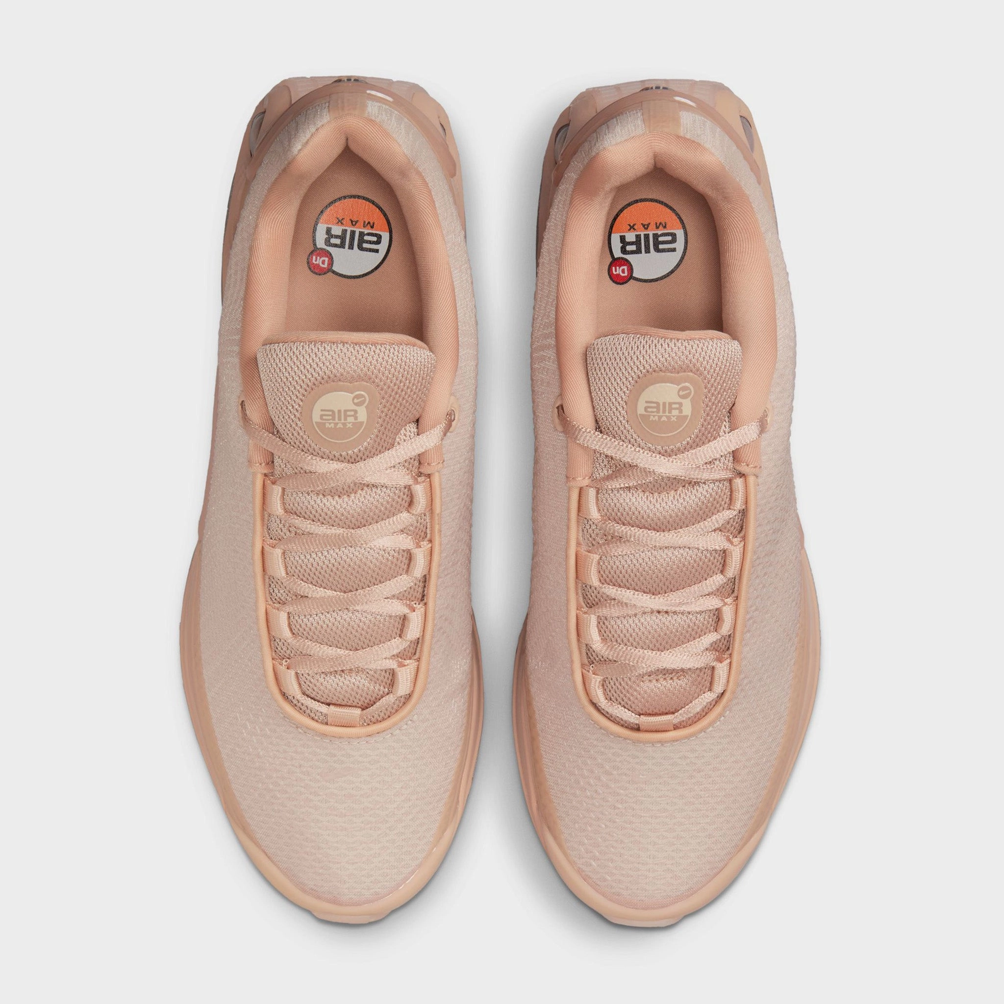 Nike Women's Air Max DN ISA Bio Beige / Sanddrift - Hemp